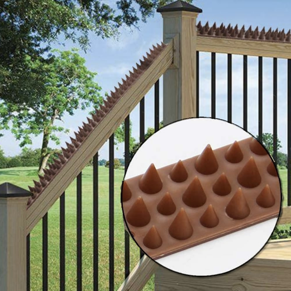 Cat Spikes, image 6