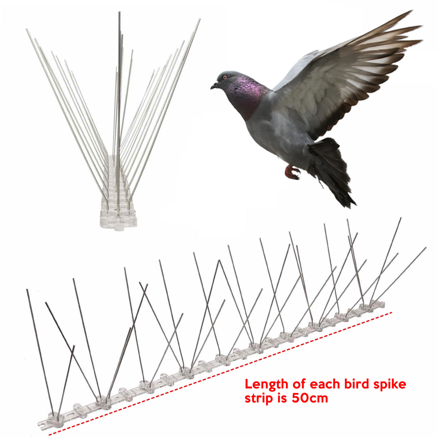 Anti-Pigeon Spikes
