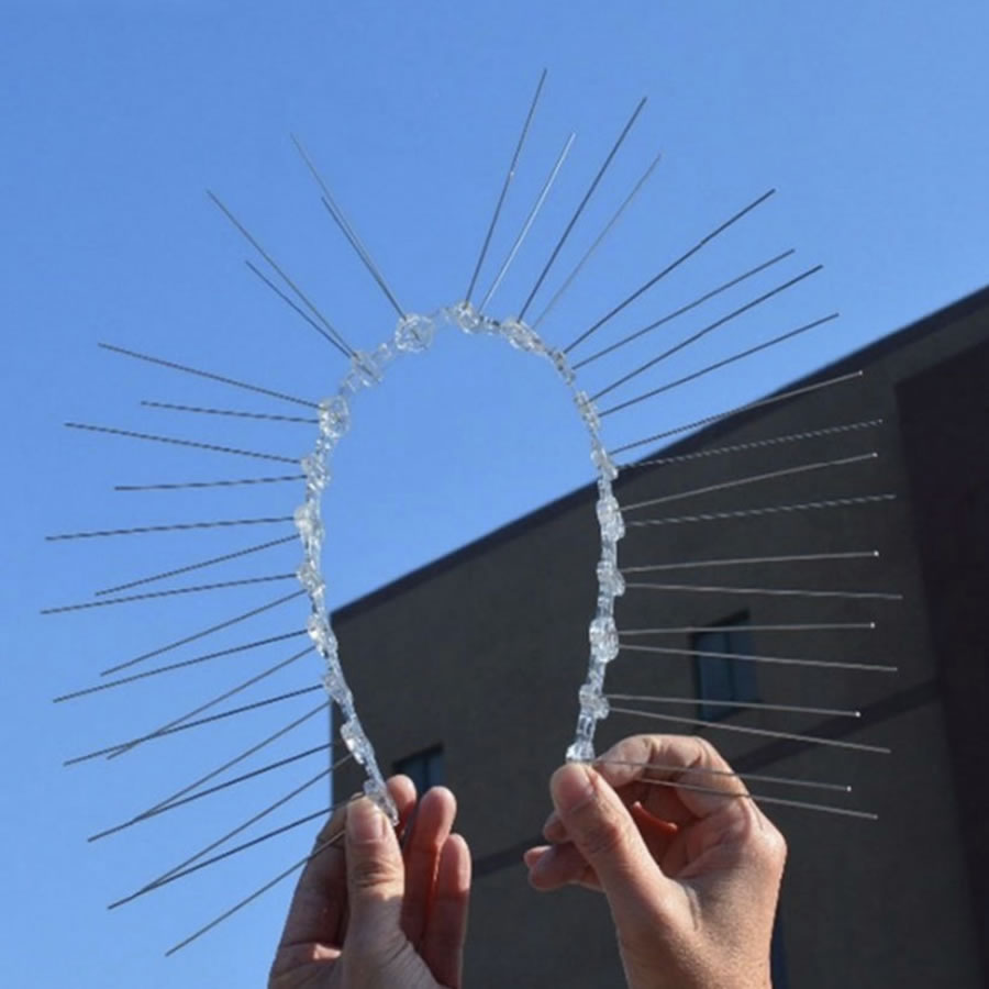 Squirrel Spikes, image 5
