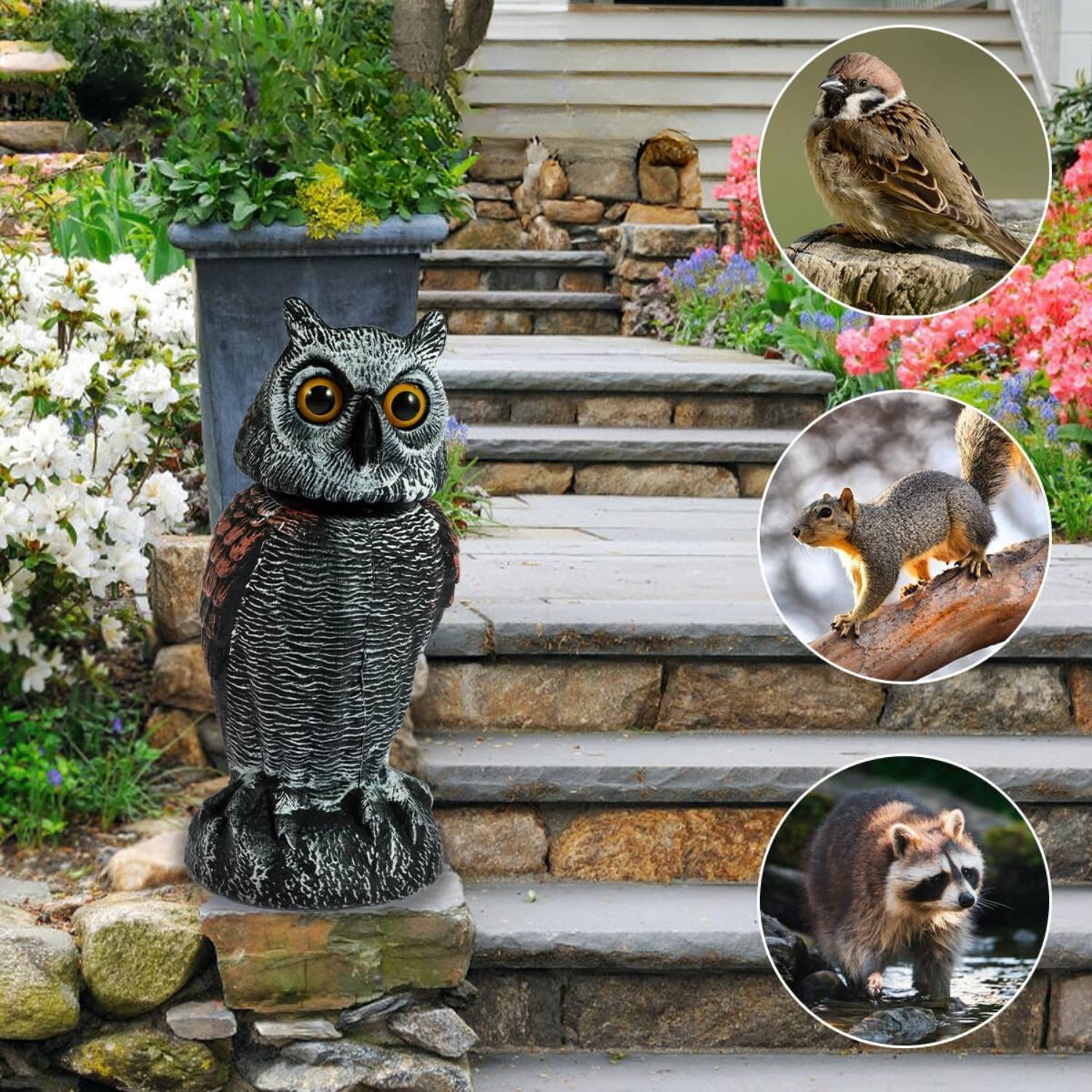 Fake Owl Decoy, image 5