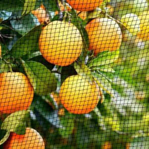 buy reusable protective garden nets