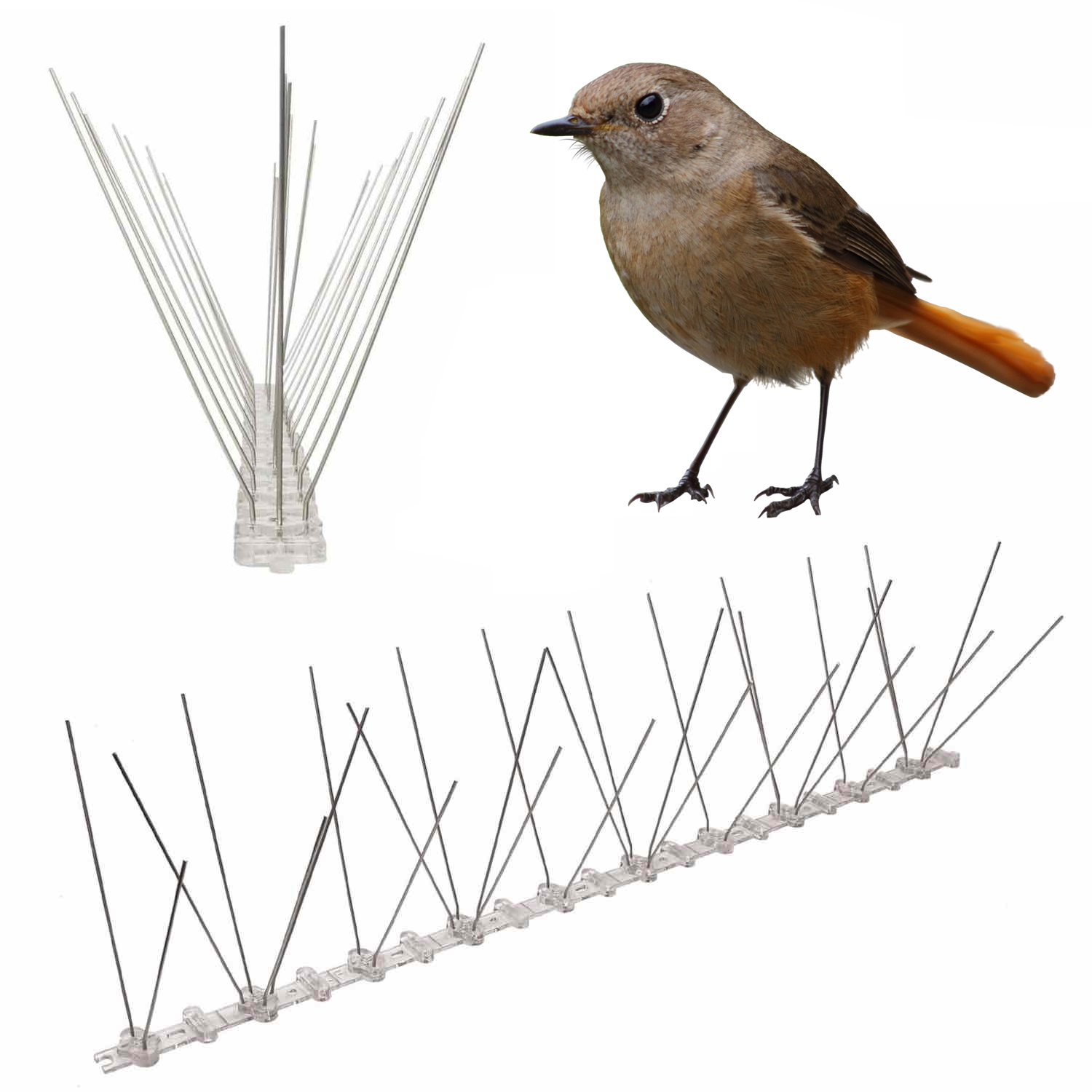 Anti-Wren Spikes