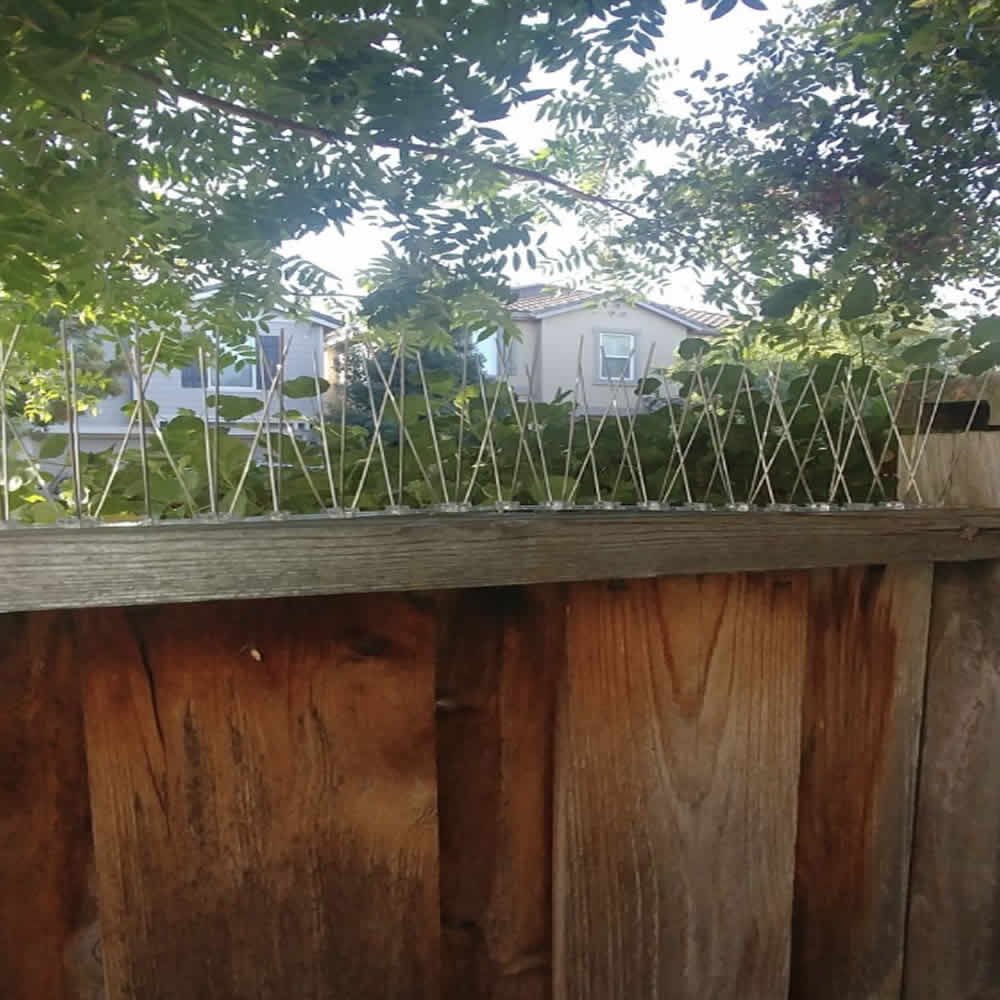 Anti-Seagull Spikes, image 6