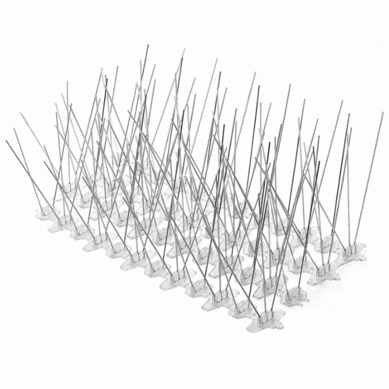 Squirrel Spikes, image 3