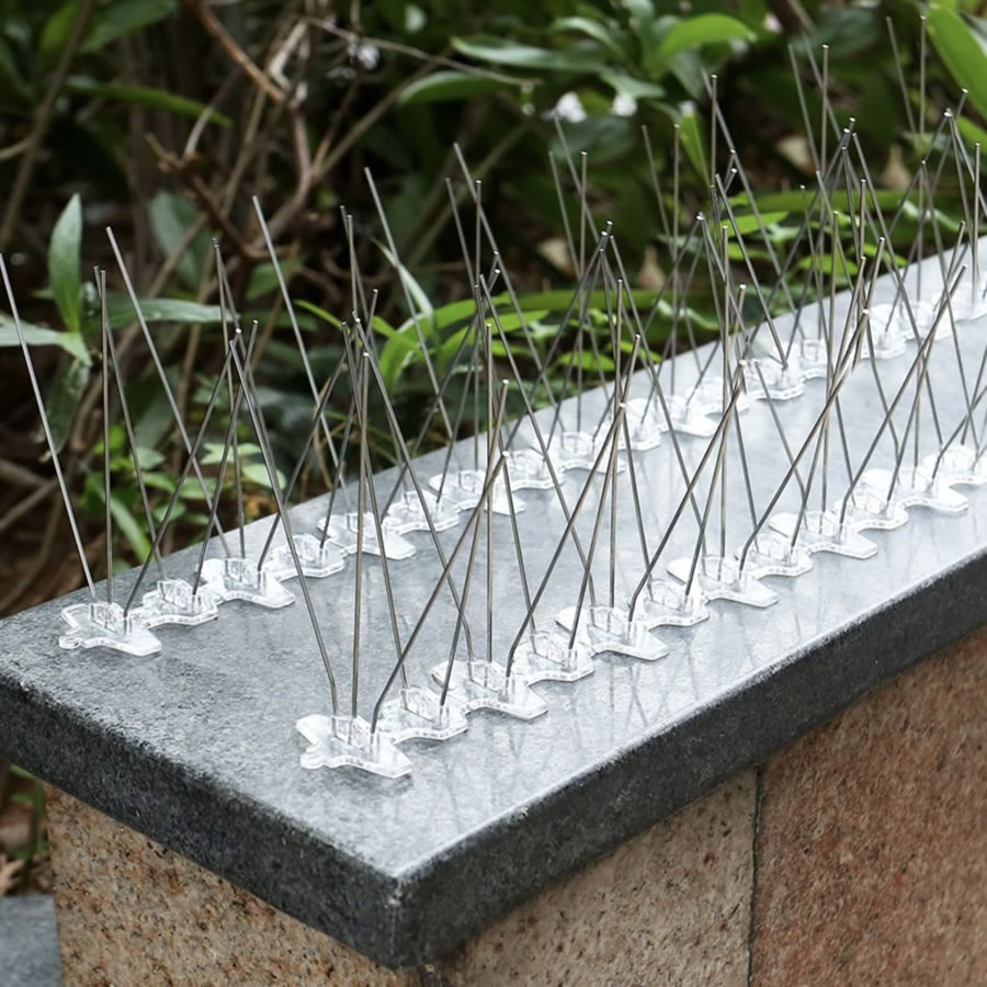 Bird Spikes, image 5