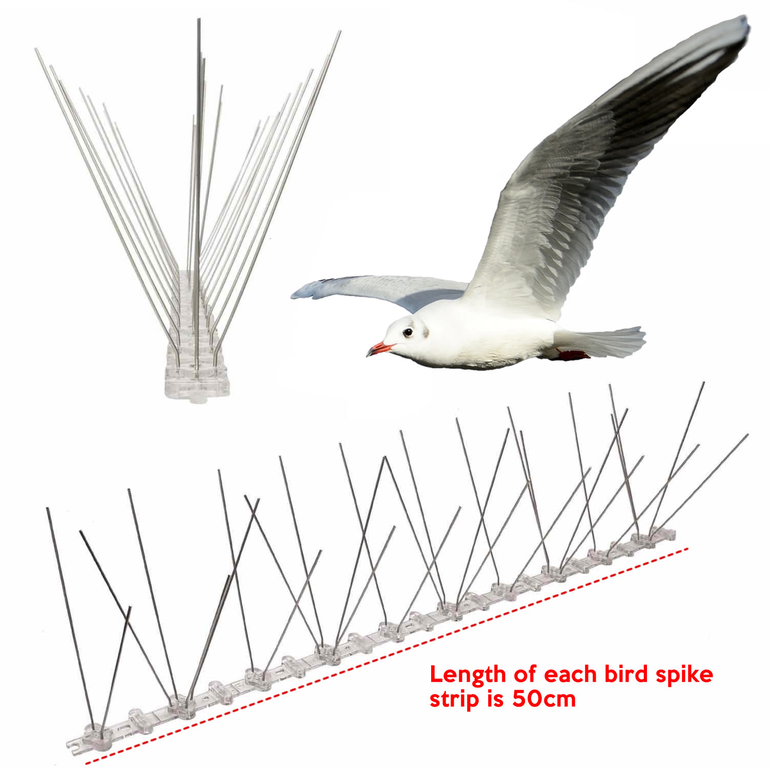 Anti-Seagull Spikes