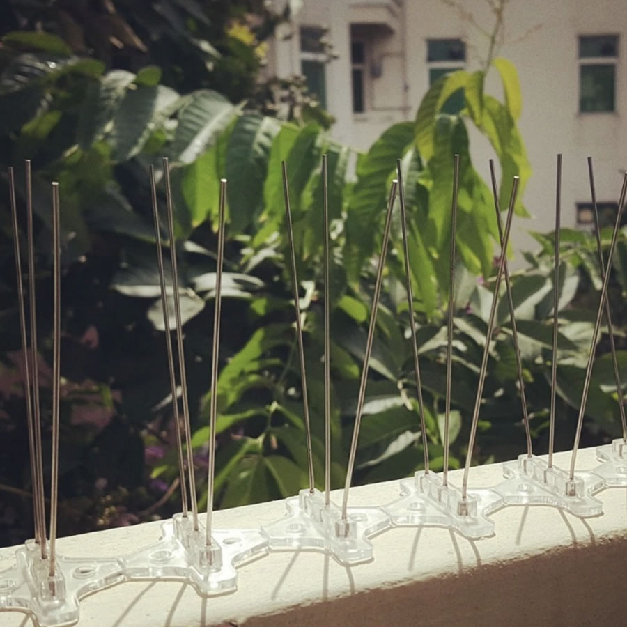 Squirrel Spikes, image 7