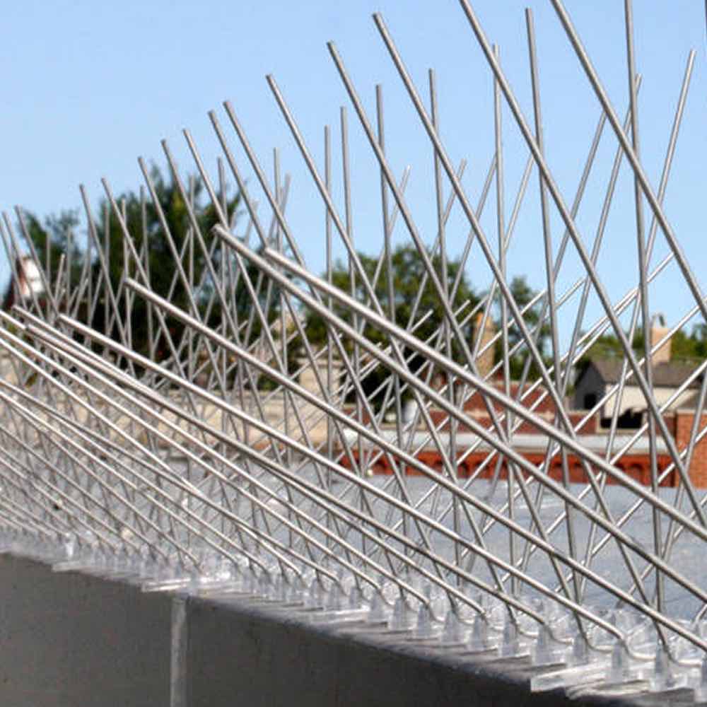 Anti-Indian Myna Spikes, image 4