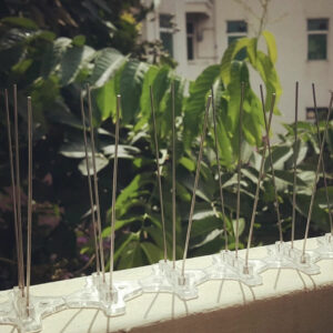 where to buy pest fencing spikes