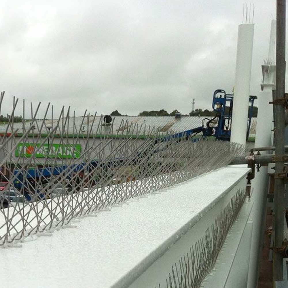 Bird Spikes, image 6
