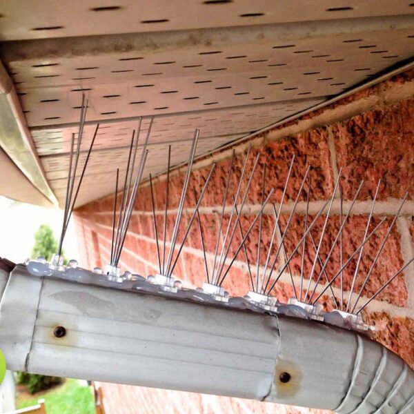 buy bird spikes for house gutters